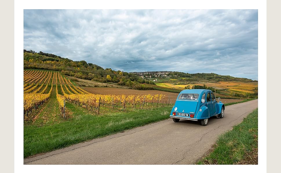 Bisous & Brioche: Classic French Recipes and Family Favorites from a Life in France